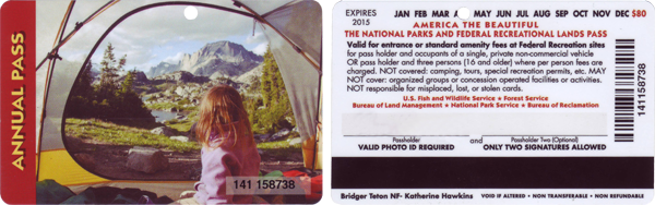 Annual Pass