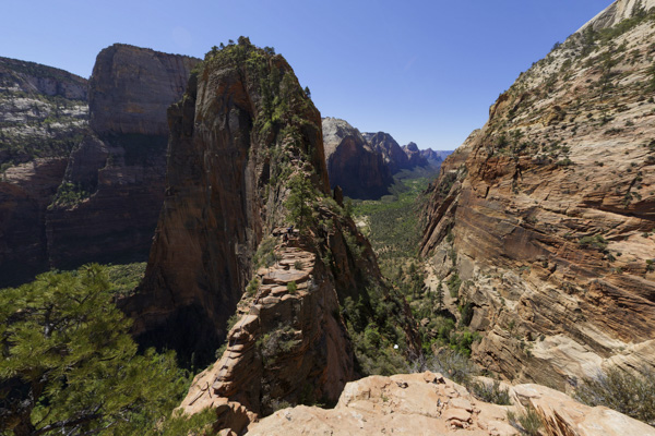 Scout Overlook