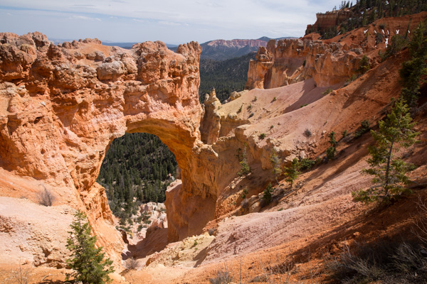 Natural Bridge