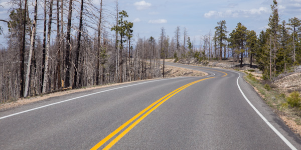 Scenic Drive