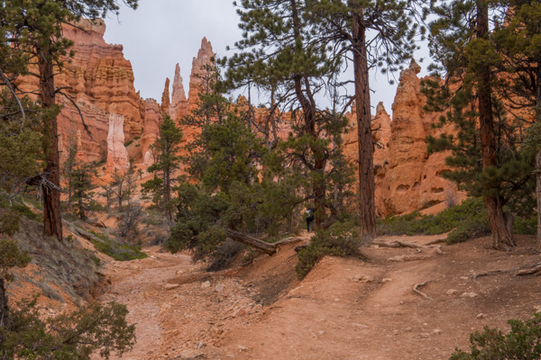 Im Tal des Bryce Canyon
