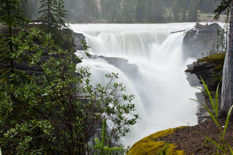 Athabasca Falls