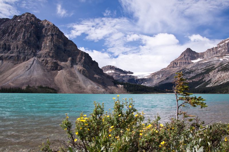 Bow Lake