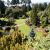 Queen Elizabeth Park