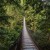 Lynn Canyon Suspension Bridge