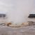Yellowstone NP - Fountain Paint Pot