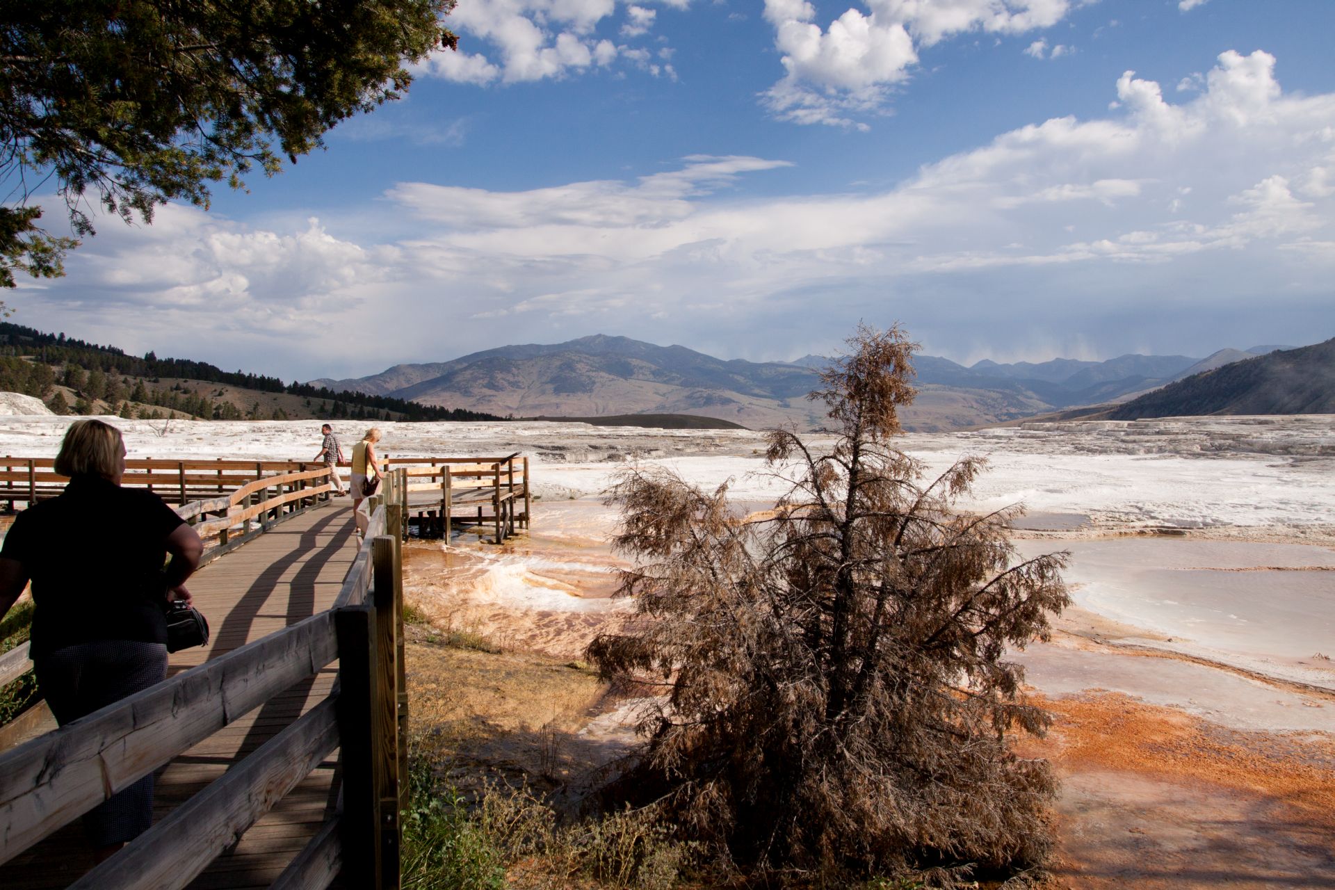 Yellowstone – Mammoth Hot Springs