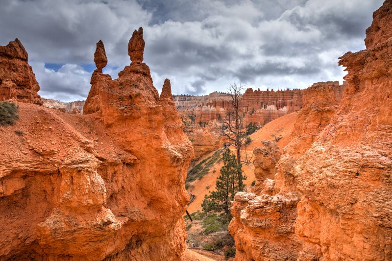 Bryce Canyon – Queens Garden Trail