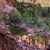 Emerald Pools