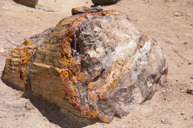 Escalante Petrified Forest State Park