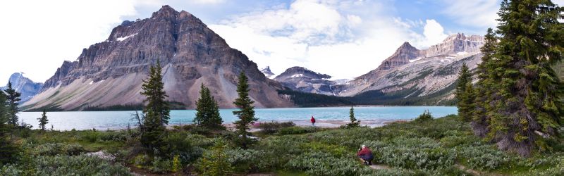 Bow Lake Panorama