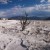 Yellowstone - Mammoth Main Terrace