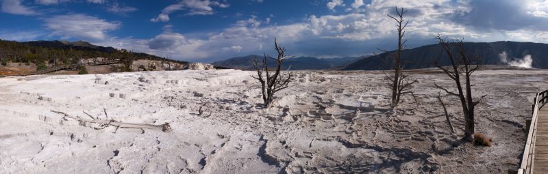 Yellowstone – Mammoth Main Terrace