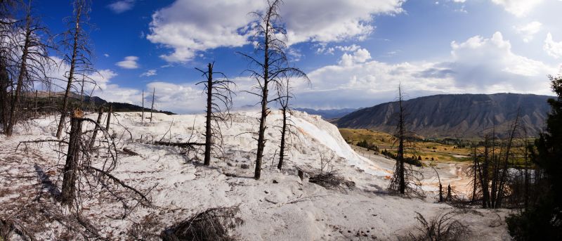 Yellowstone – Mammoth Canary Spring