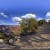 Hopi Point Panorama