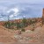 Queens Garden Panorama